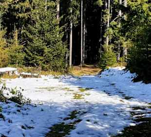 Viel Schnee teils auf der Strecke