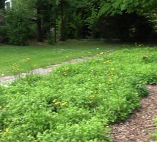 Kurpark