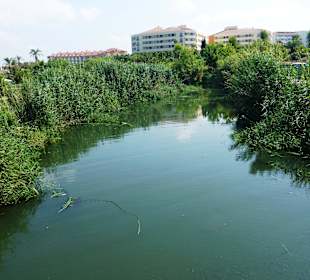 Flussmündung der Schildkrötenbucht - 300 Meter