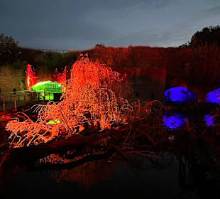 Herbstlichter Brückenkopfpark