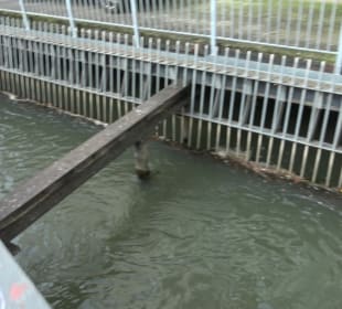 Wasserräder