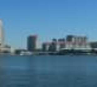 Downtown Tampa 