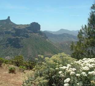 Bezaubernde Bergwelt