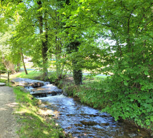 Kleiner Bach