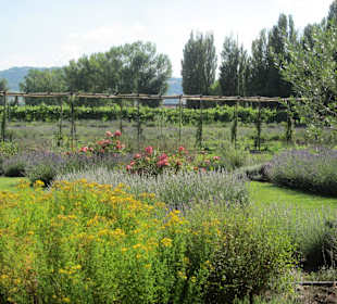 Giardini botanici da visitare in Italia
