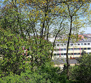 Stare Miasto