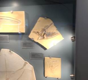 Jura-Museum