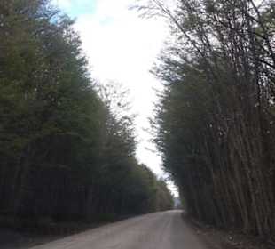 Nationalpark Tierra del Fuego