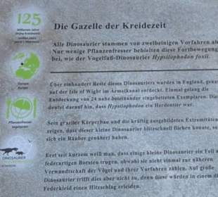 Dinosaurier Museum Altmühltal