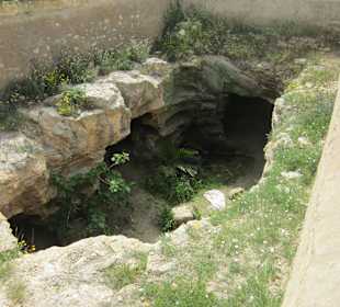 Blick in die Katakomben