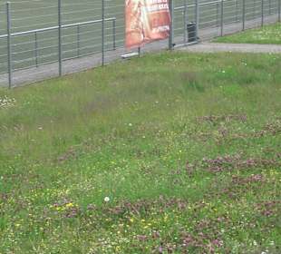 Sportplatz Empfingen