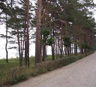 Strand-Promenade