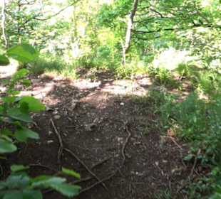 Premiumwanderweg "hochgelegen"