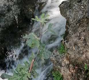 Manavgat Wasserfälle