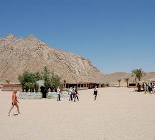 Quad Tour: Beduinendorf