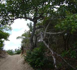 Buggy tour lagoa de paraiso
