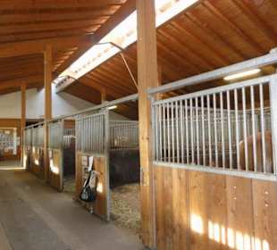 Reiterhof Sulfner Hafling