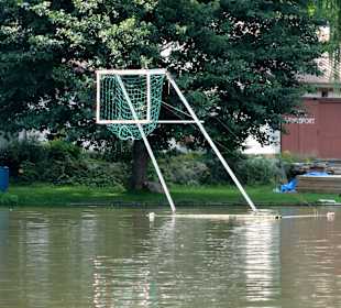 Kanu-Polo am Kiessee