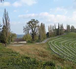 Kirche der Schmerzensmutter Gottes Jeruzalem