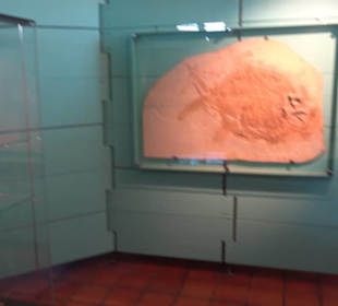 Jura-Museum