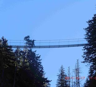 Seilhängebrücke