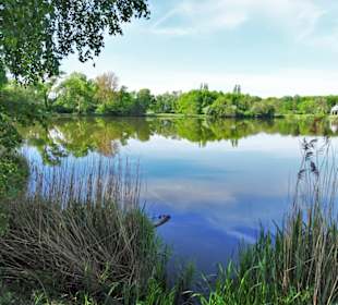 Eindrücke vom Spielmannsteich