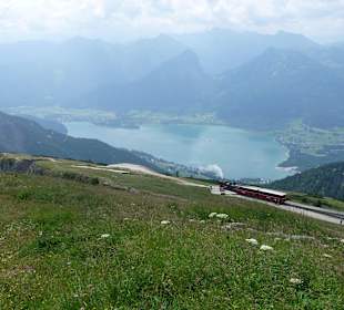 Ausblick vom Schafberg 