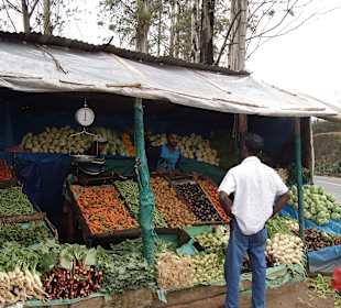 Im Hochland, Panda kauft Gemüse