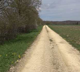 Heckenerlebnispfad Apfelstetten