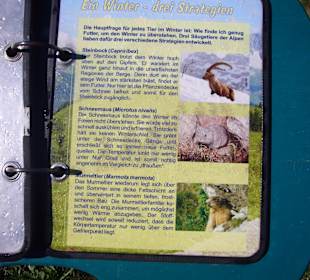 Wandern Nesselwängle