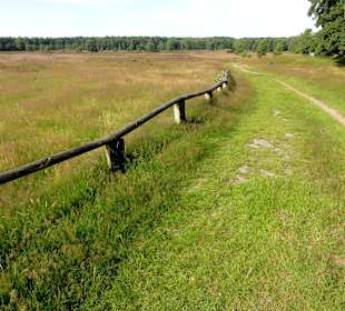 Impressionen vom Pestruper Gräberfeld