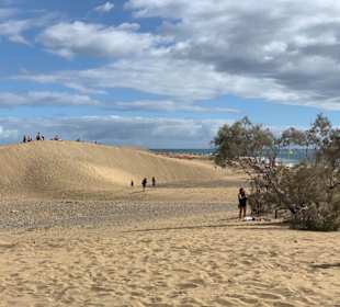 Dünen von Maspalomas