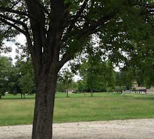 Orangerie Kilchberg