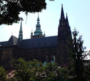 Burcht en kathedraal vanaf de paleistuinen