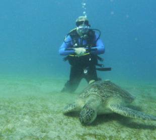 Wir schauen gern beim Fressen zu