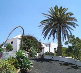 Lanzarote - Jardín de Cactus