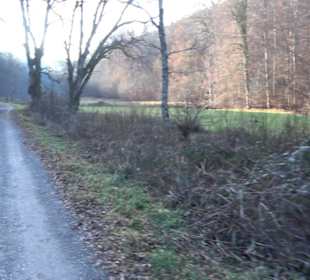 Schönbuch Schaichtal