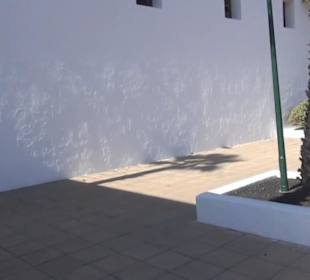 Parroquia San Francisco Javier 