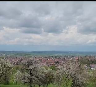 Wanderstrecke Mössinger Streuobstwegle