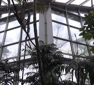 Tropicarium - Feuchte Tropen