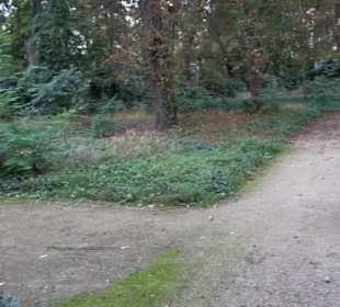 Gedenkstätte Alter Jüdischer Friedhof