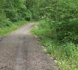 Ruine Burg Kaltenburg