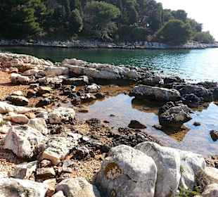 Bucht an der Ostküste