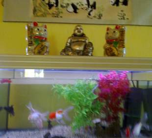 Restaurant Hong Kong 97