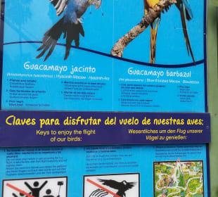Loro Parque