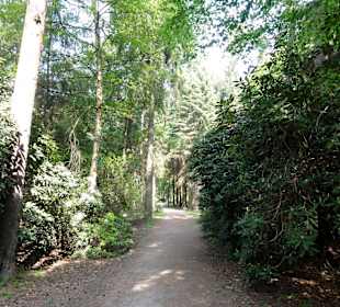 Impressionen vom Rundweg durch den Park
