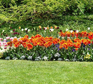 Осторов майнау