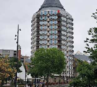 Kubushäuser in Rotterdam