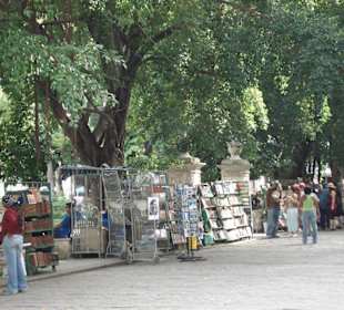 skuriler Buchmarkt