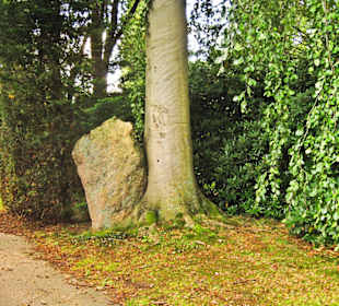 Кладбище Ольсдорф, Гамбург, 16 сентября 2013 года